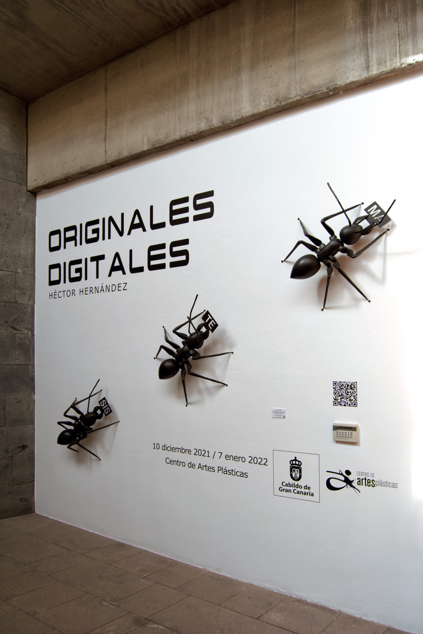Originales Digitales una exposición de Héctor Hernández