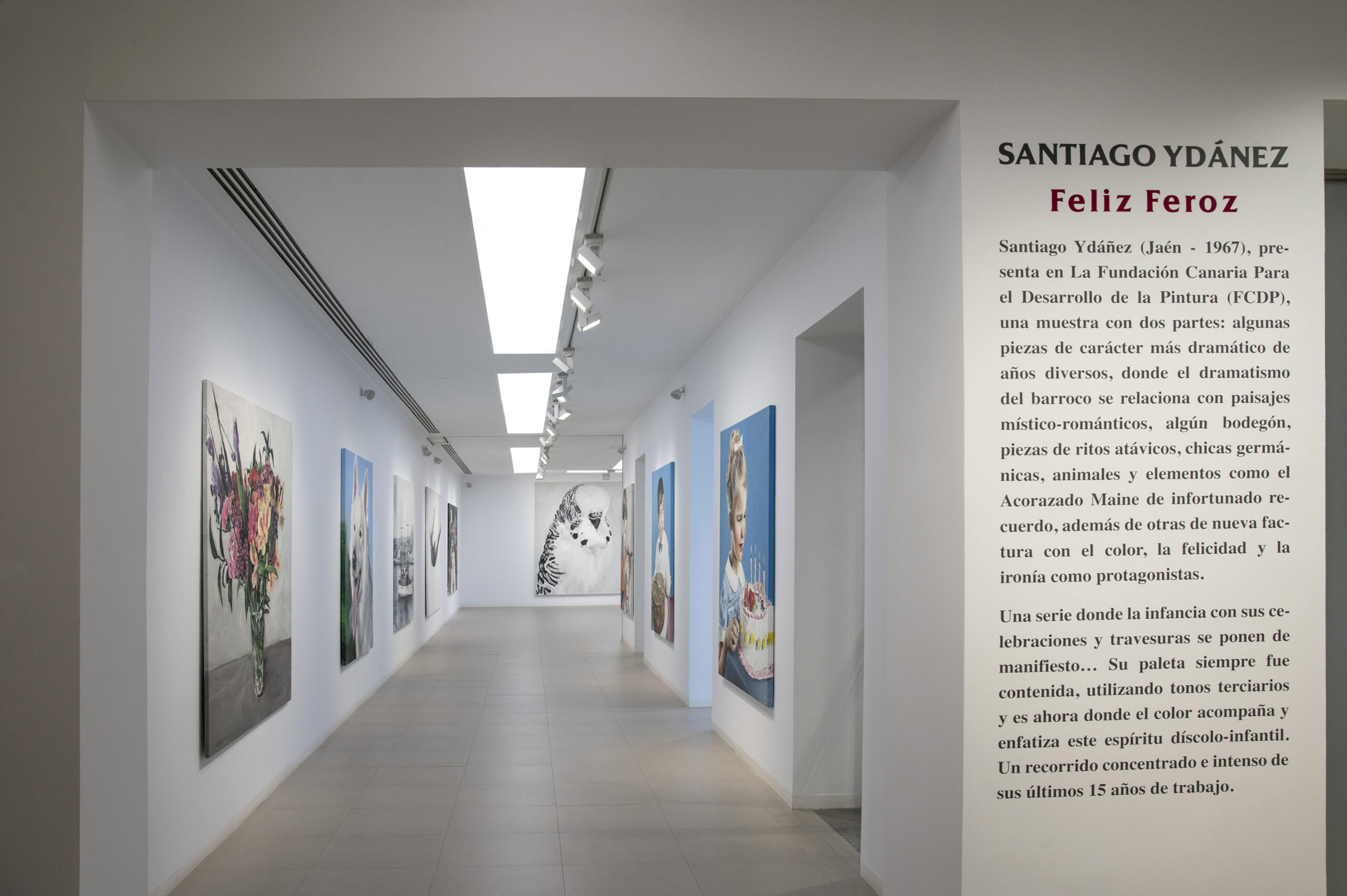 Fundación Canaria para el Desarrollo de la Pintur