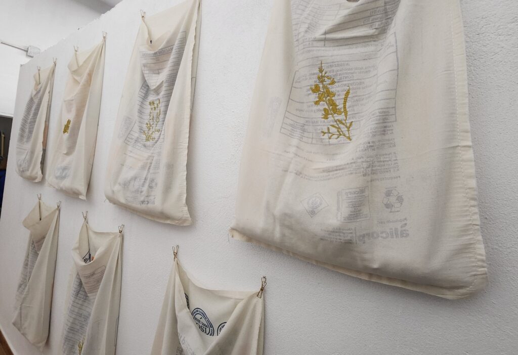 obra de la artista boliviana y residente en Canarias Liliana Zapata