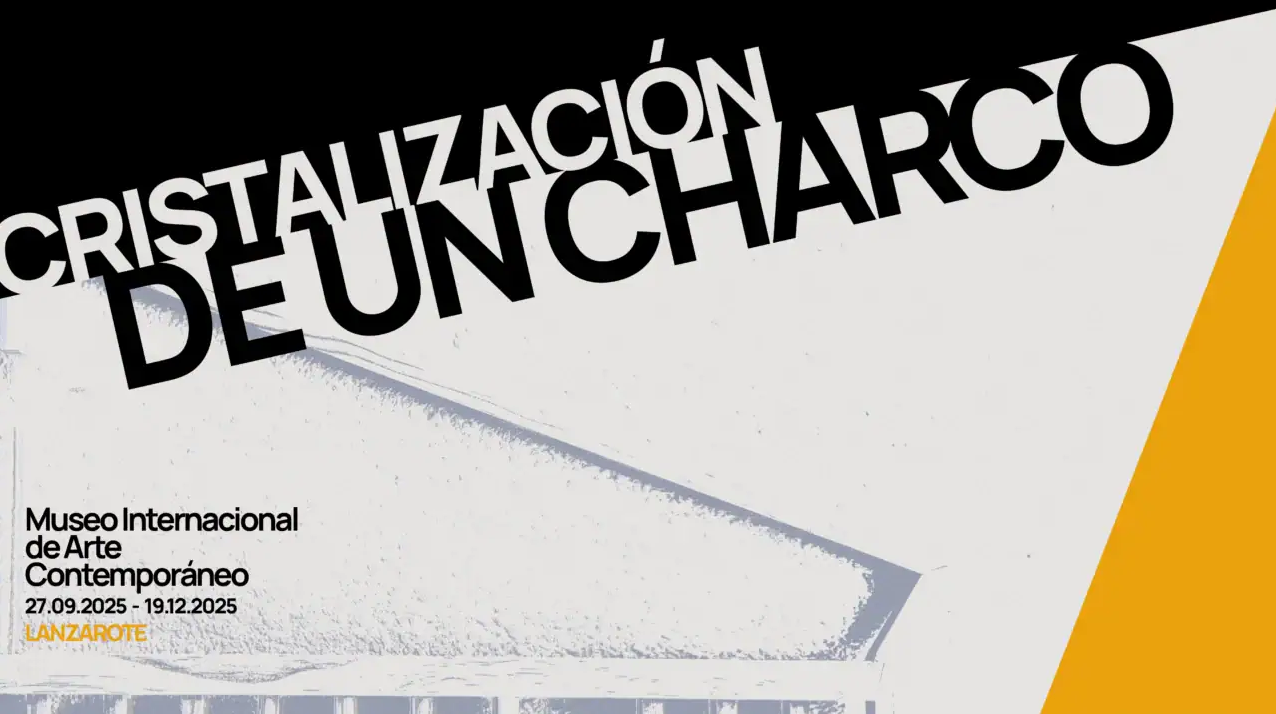 Exposición Darío Machín Cristalización de un charco